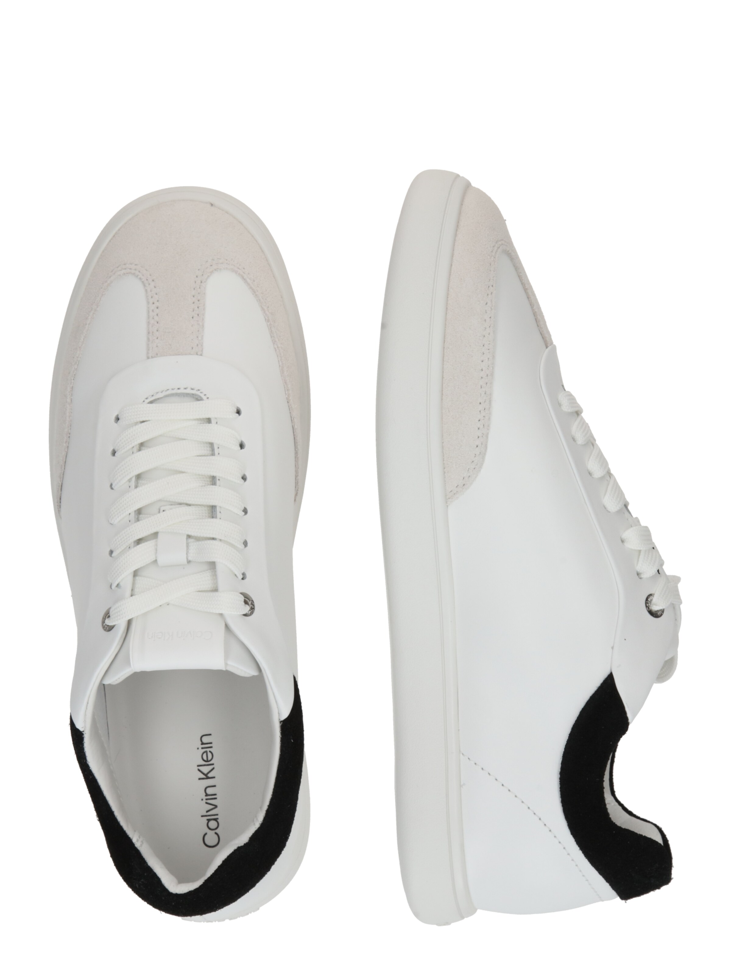 Baskets basses Calvin Klein en blanc