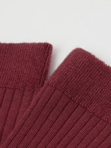 CALZEDONIA Socks in Red