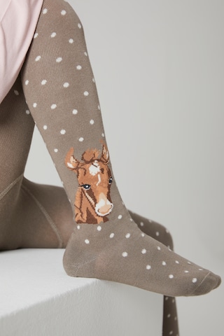 H.I.S Tights in Brown