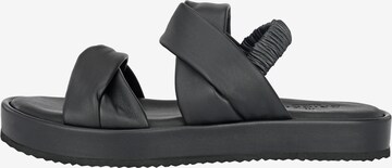 Crickit Strap Sandals ' JANEKE ' in Black