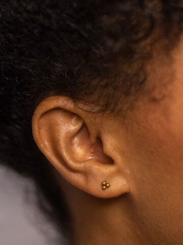 PURELEI Earrings 'Plain' in Gold: front