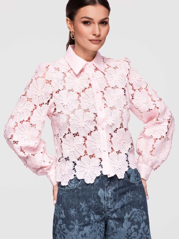Ombre Blus i rosa