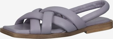 ILC Sandals in Purple: front
