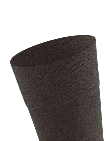 FALKE Socken 'Sensitive Berlin'‌‌‌‌‌‌‌‌‌‌ in Braun