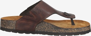 bugatti T-Bar Sandals in Brown