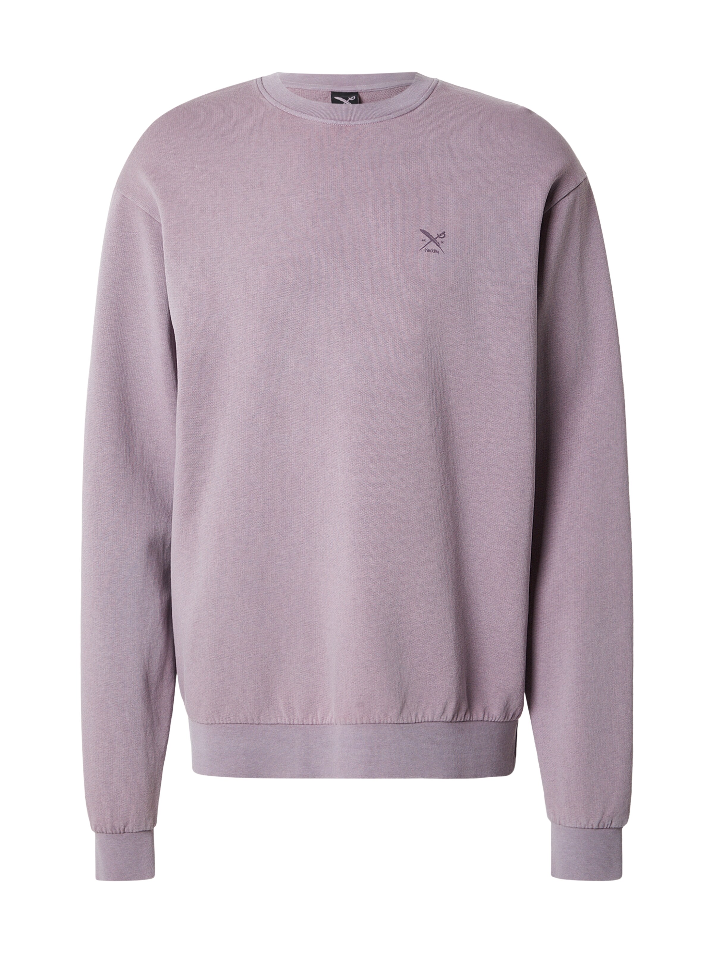 Iriedaily Sweatshirt 'Waterkeeper' in Purple: front