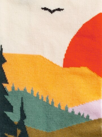 DillySocks Socks 'Abstract Nature' in Mixed colors