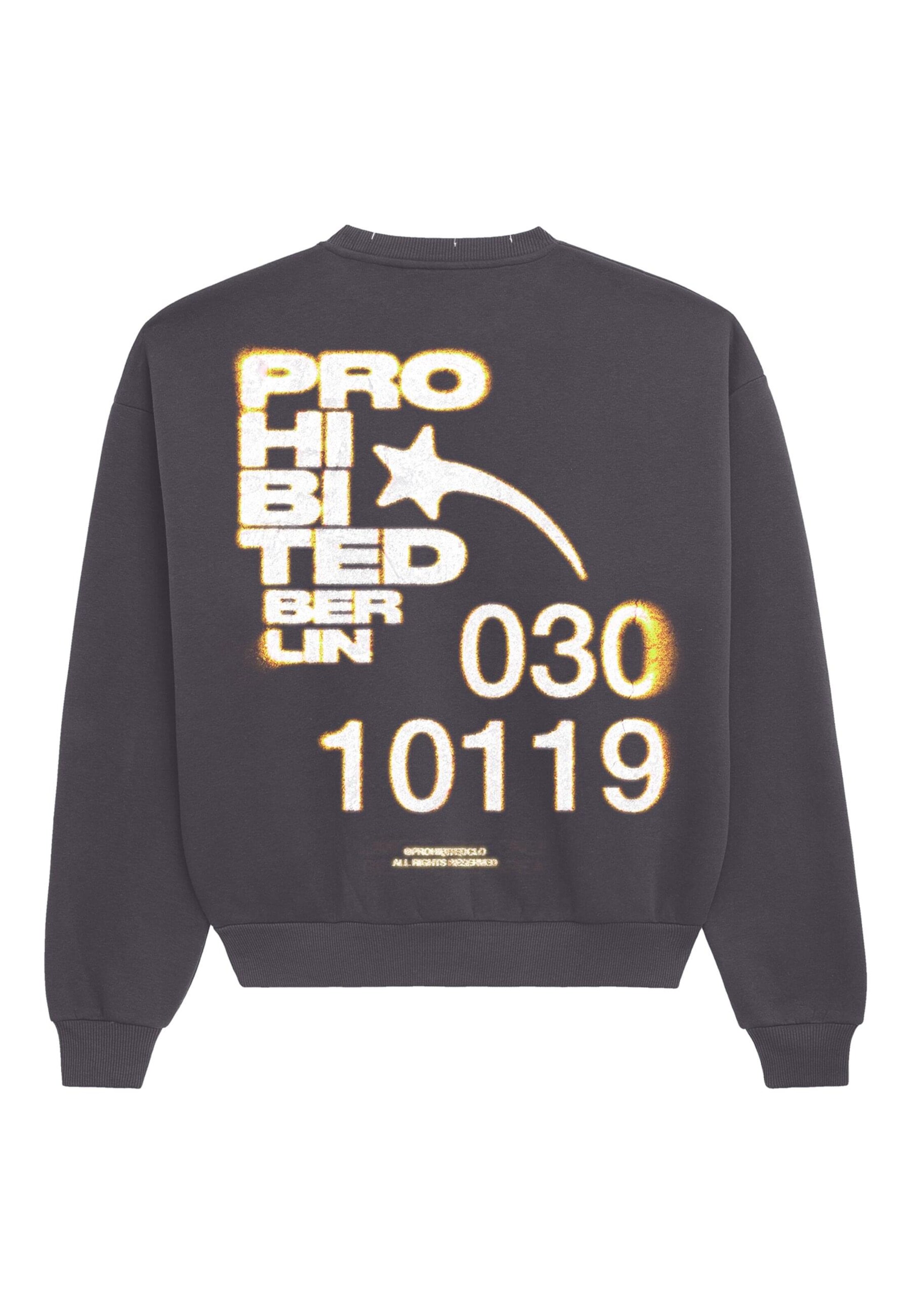 Prohibited Sweatshirt 'Star' i grå