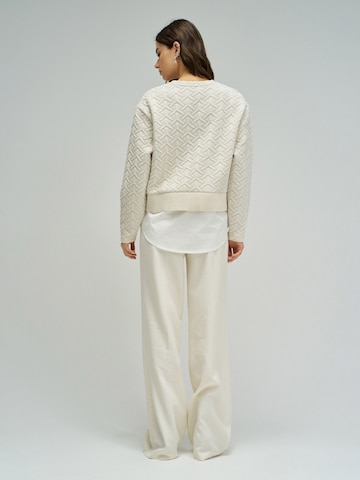 Salsa Jeans Pullover in Beige