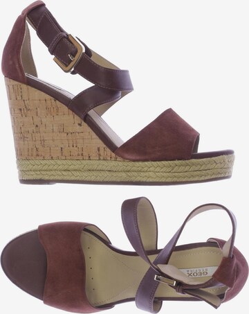 GEOX Sandals & High-Heeled Sandals in 38 in Brown: front