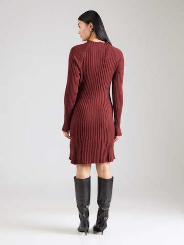 Peppercorn Knit dress 'Anna' in Brown