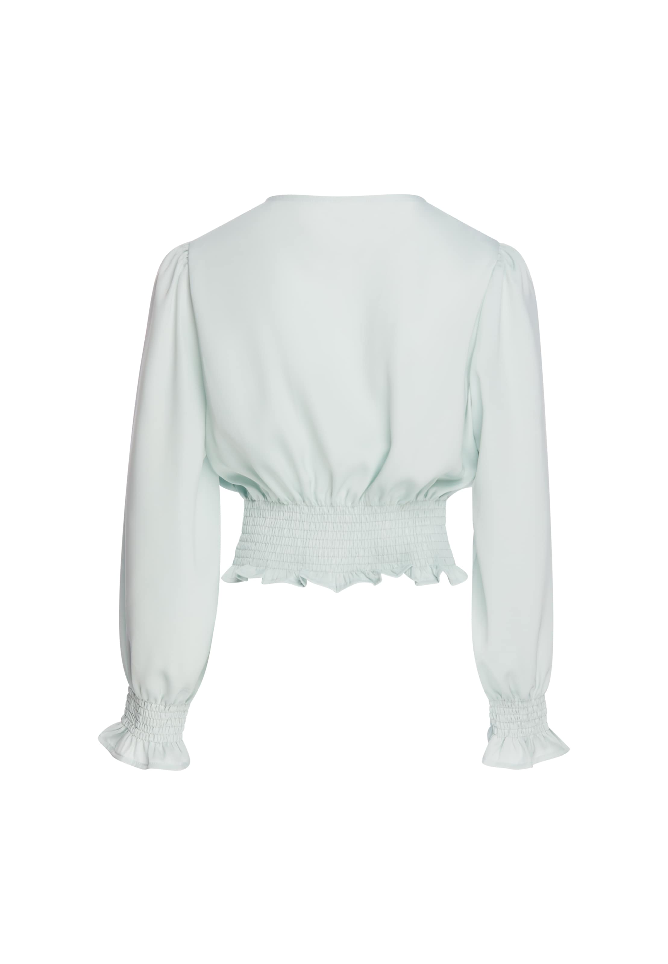 usha BLACK LABEL Blouse in Blauw