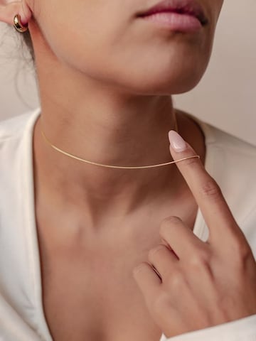 Hey Happiness Ketting 'Round Snake' in Goud
