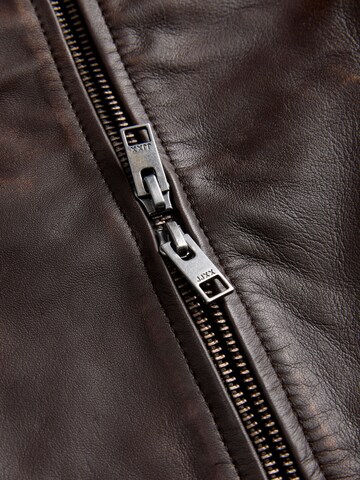 JJXX Between-season jacket 'JXSif' in Brown
