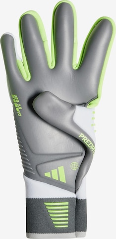 ADIDAS PERFORMANCE Sporthandschuhe 'Predator Pro' in Mischfarben