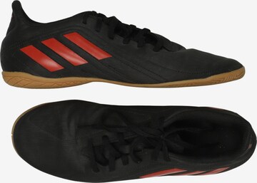 ADIDAS PERFORMANCE Sneaker 43,5 in Mischfarben: Vorderseite