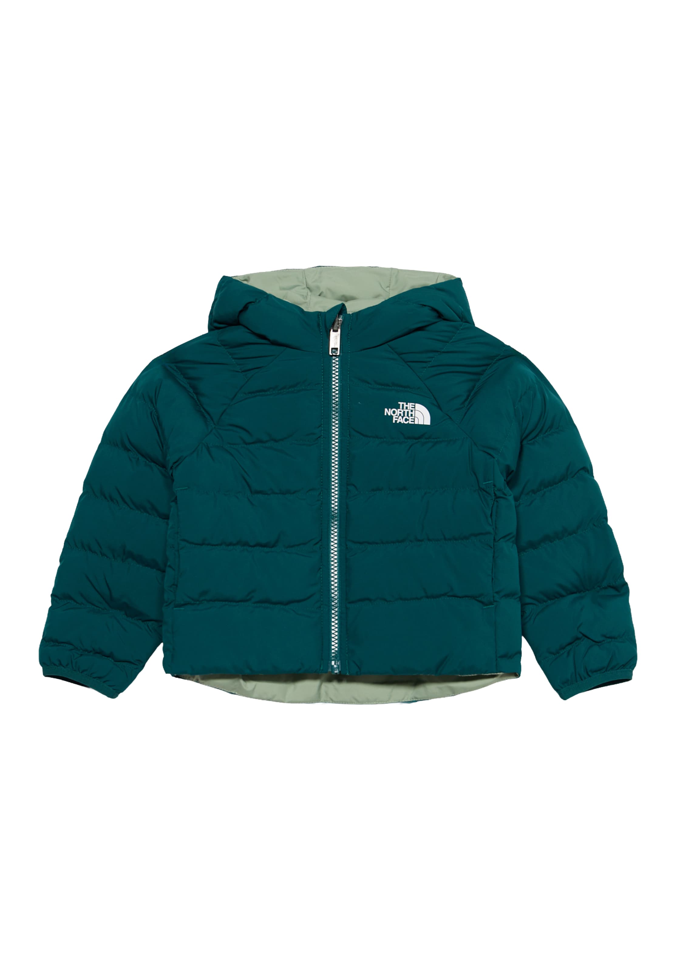 THE NORTH FACE Kurtka outdoor 'PERRITO' w kolorze zielony: przód