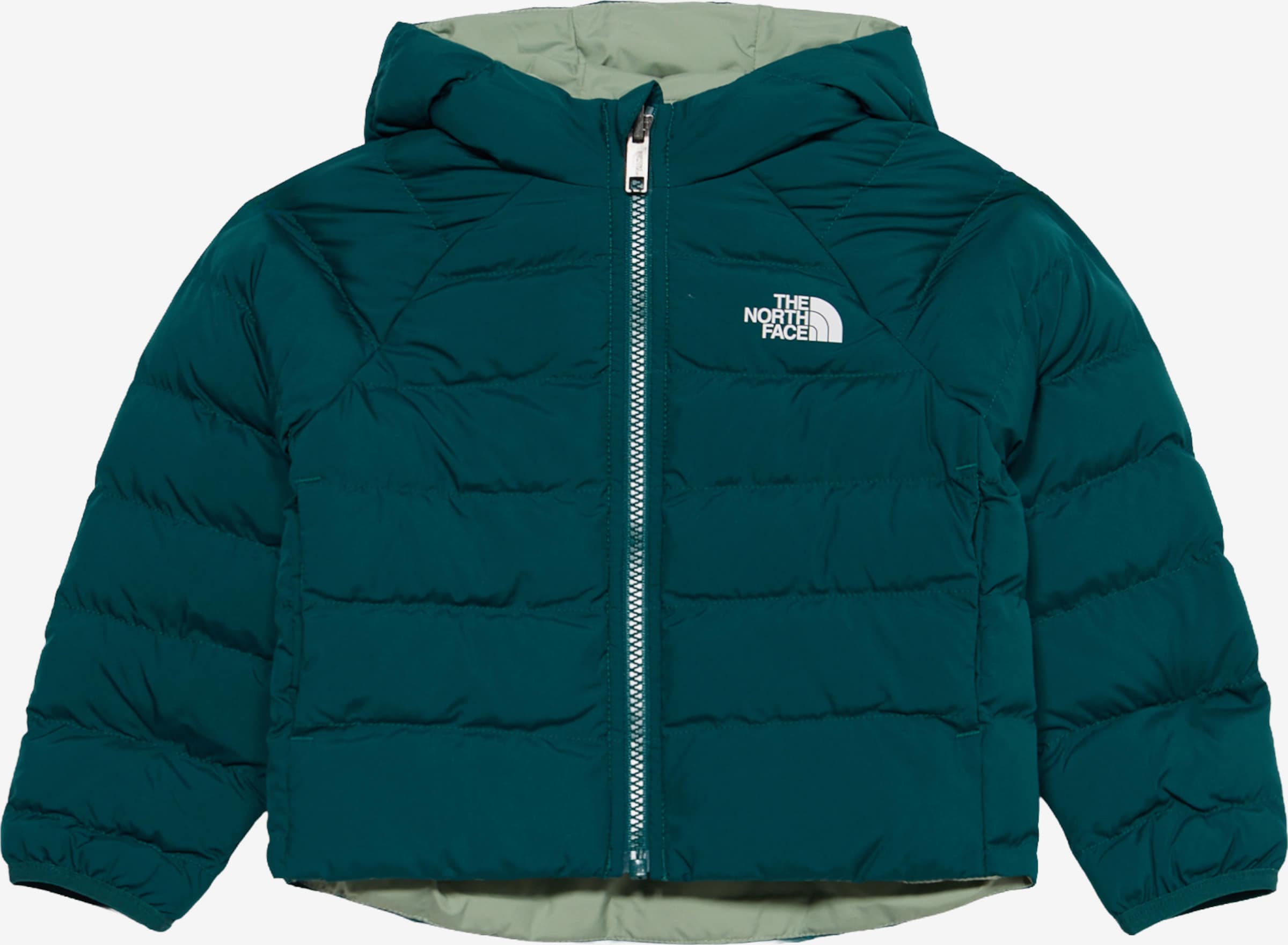 THE NORTH FACE Geacă outdoor 'PERRITO'