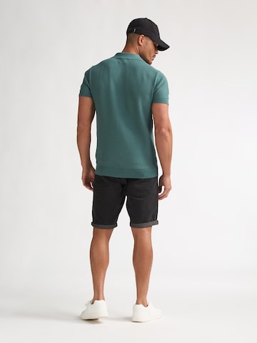 Petrol Industries Pullover 'Delfín' in Grün