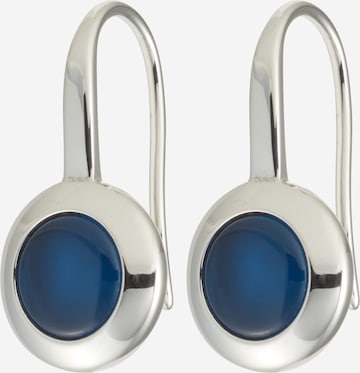 SKAGEN Earrings in Grey: front