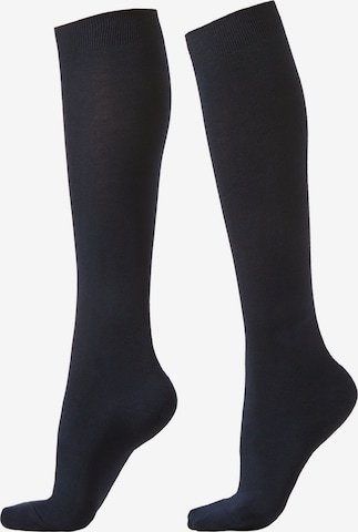CALZEDONIA Socks in Blue: front