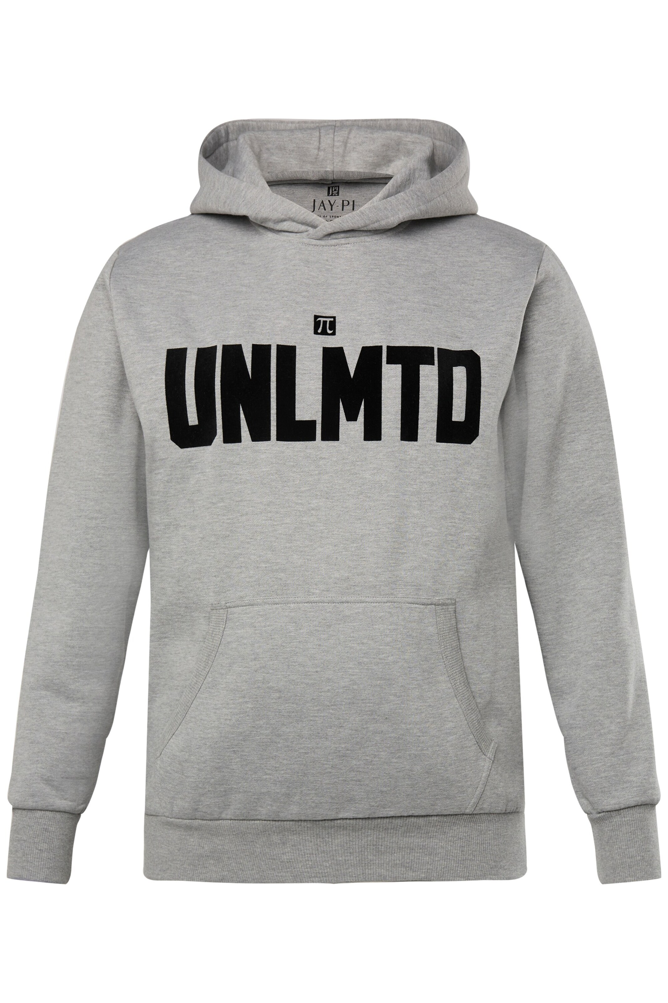 JAY-PI Sweatshirt in Grijs: voorkant