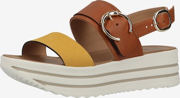 Nero Giardini Strap Sandals in Brown: front