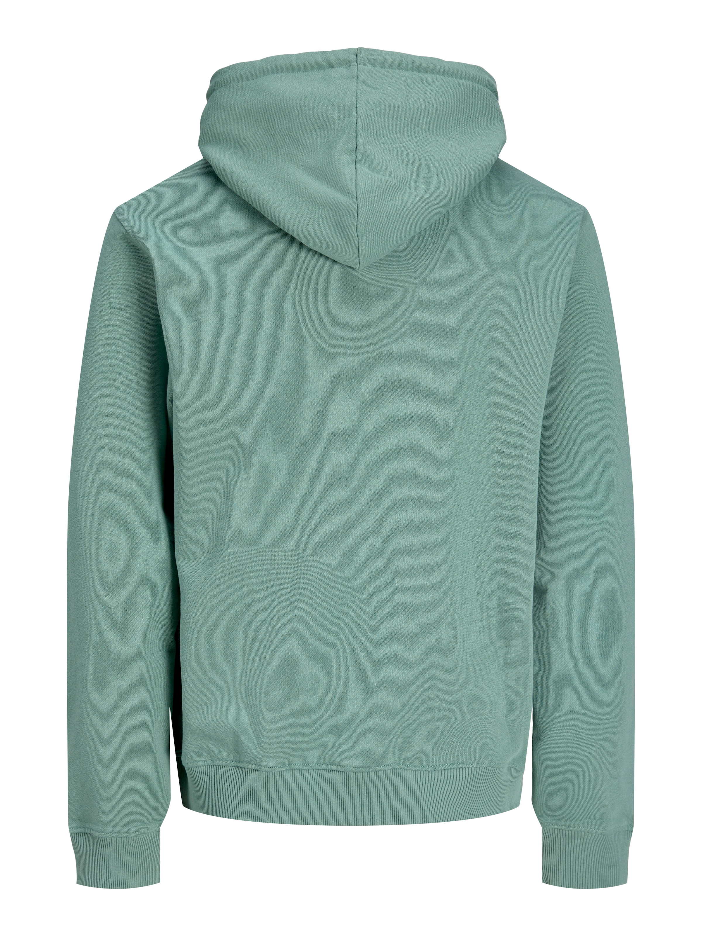 Jack & Jones Plus Sweatshirt 'JJCollege' in Green