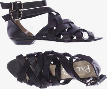 PACO GIL Sandals & High-Heeled Sandals in 38,5 in Black: front