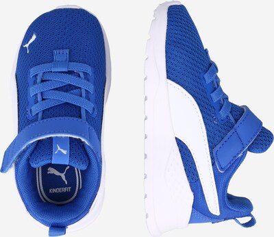 PUMA Sneakers 'Anzarun' i kongeblå / hvit, Produktvisning