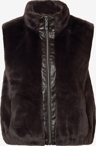Gilet di monari in marrone: frontale