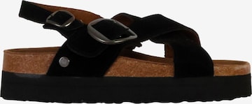 terre de marins Sandals in Black: front