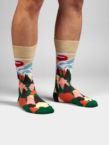DillySocks Socken in Mischfarben: Vorderseite