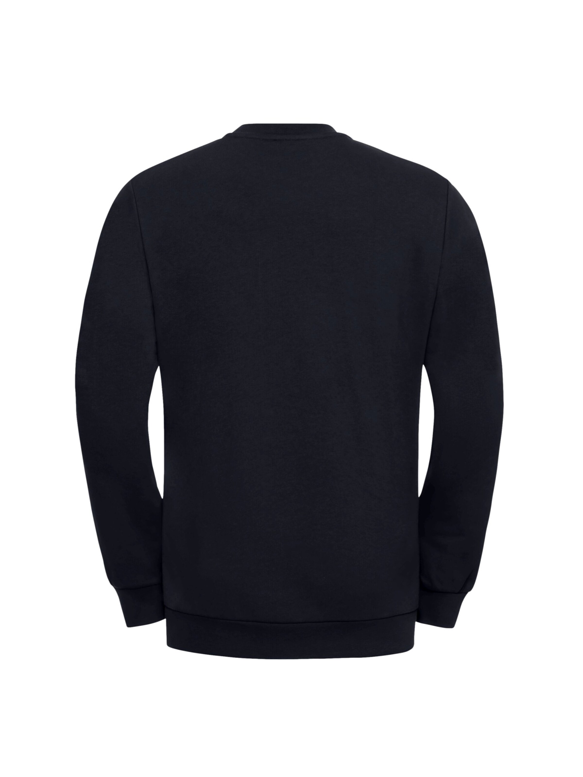 JACK WOLFSKIN Sweatshirt 'Essential' in Blue
