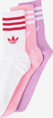 purpurinė ADIDAS ORIGINALS Kojinės: priekis