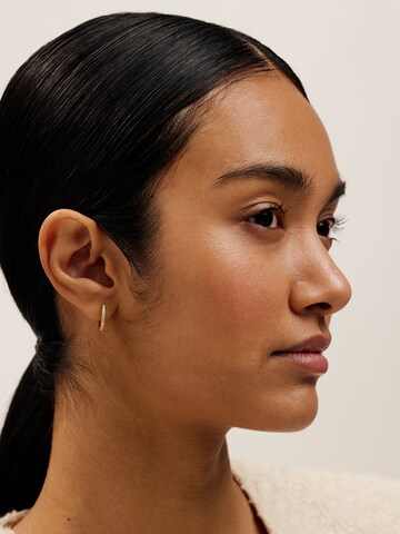 Ted Baker - Pendientes en oro: frente