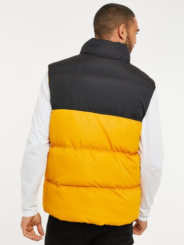 Threadbare Bodywarmer 'Gilet Lethame' in Geel