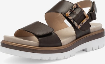 Sandalo di ARA in marrone: frontale