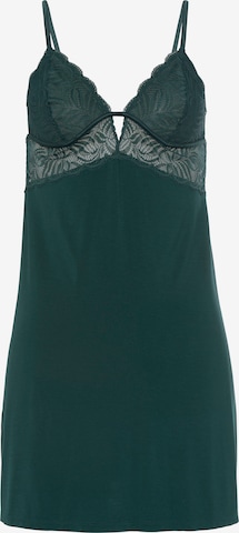 LASCANA Negligee in Green: front