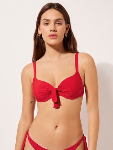 CALZEDONIA Push-up Bikinitip 'Indonesia' in Rot: Vorderseite
