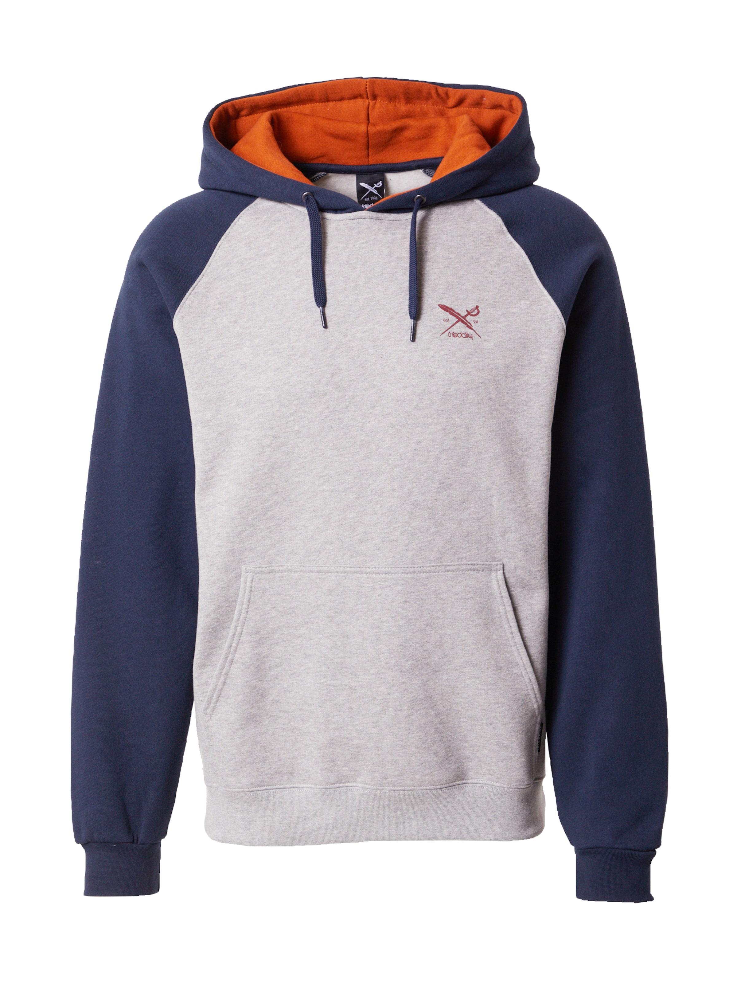 Iriedaily Dressipluus 'De College', värv hall: eest vaates