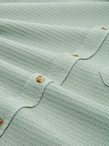 TOM TAILOR Regular Fit Hemd in Grün