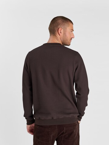Sweat-shirt 'CYRO' Le Temps Des Cerises en marron : derrière