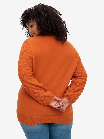 SHEEGO Sweater in Orange