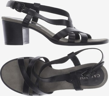 CAFÈNOIR Sandals & High-Heeled Sandals in 37 in Black: front