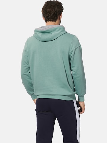 BABISTA Sweatshirt in Groen