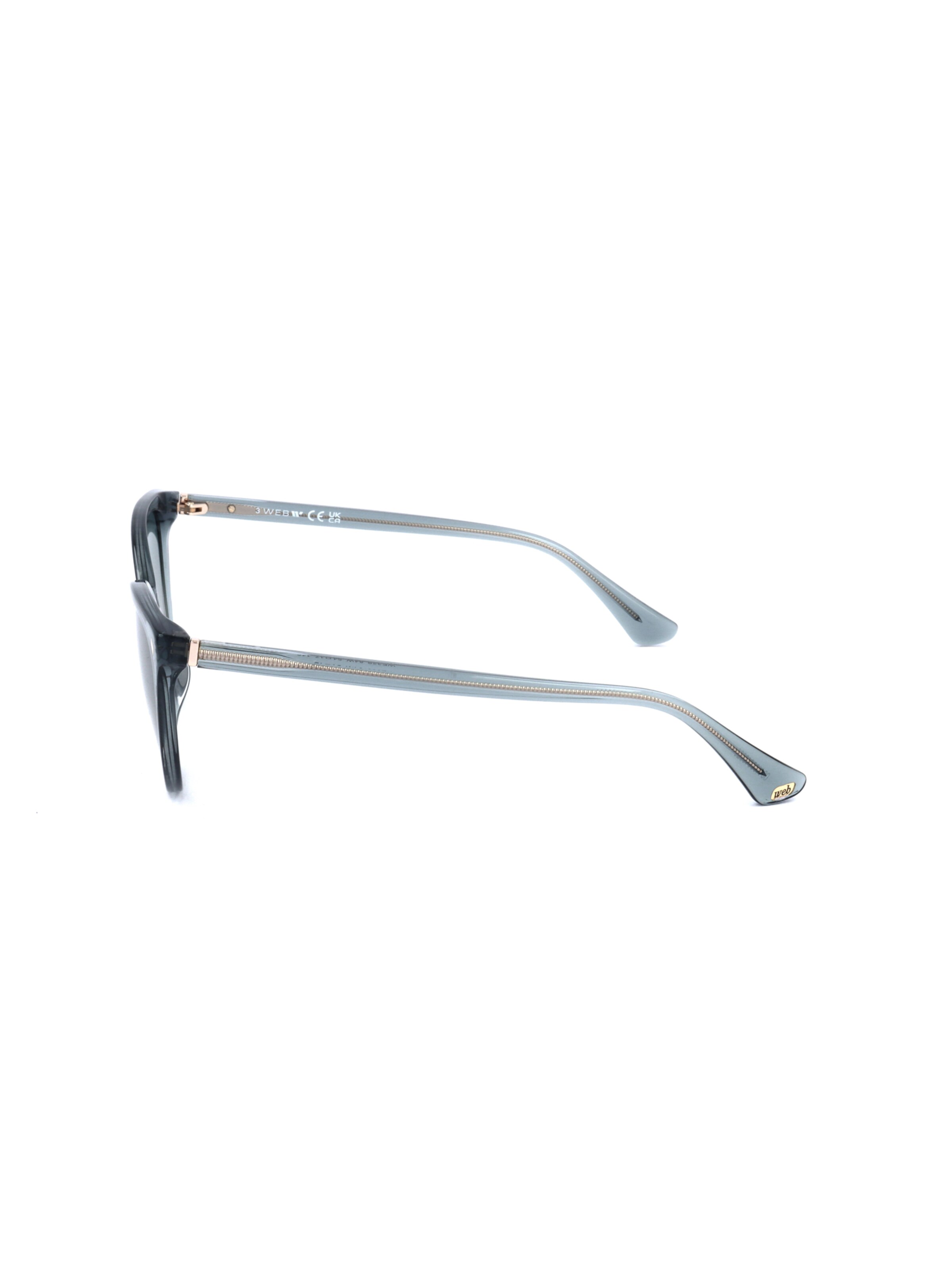 Occhiali da sole 'WE0329' di Web Eyewear in blu