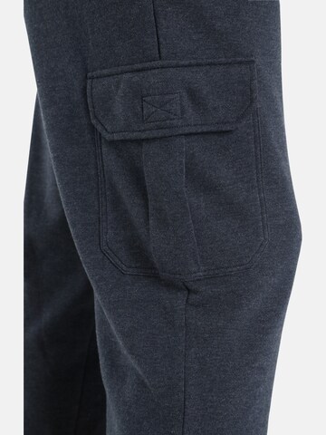 Loosefit Pantalon 'Valen' Jan Vanderstorm en gris