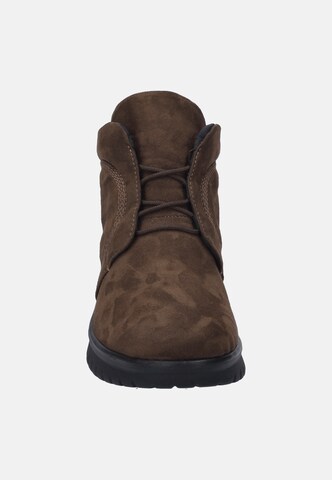 JOSEF SEIBEL Schnürschuh 'Calais 80' in Braun