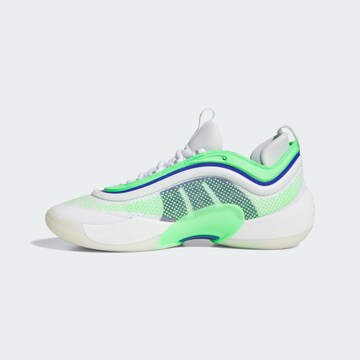 ADIDAS PERFORMANCE Sports shoe 'D.O.N. Issue 6' in White